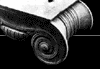 aktuelles